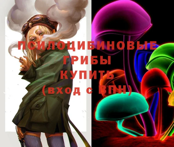 винт Баксан