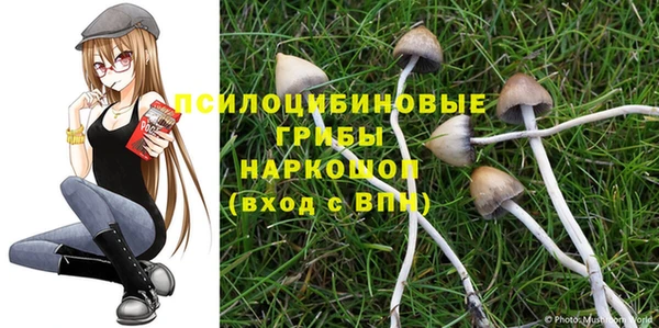 винт Баксан